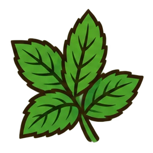 A sprig of fresh mint leaves